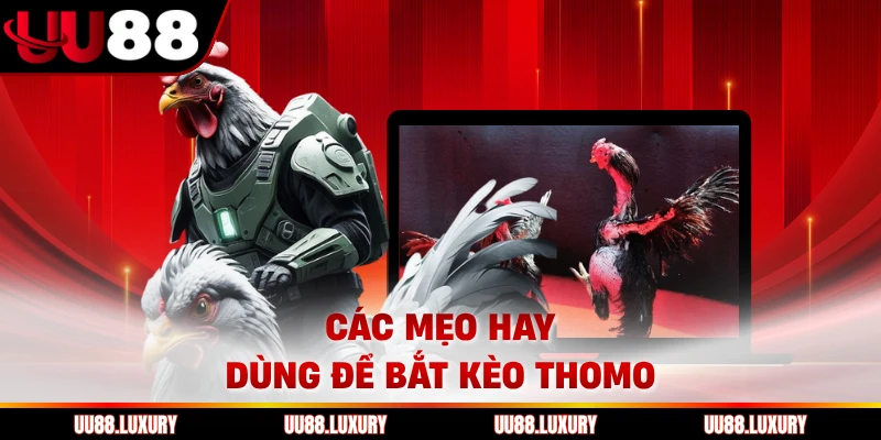 Các mẹo hay dùng để bắt kèo Thomo