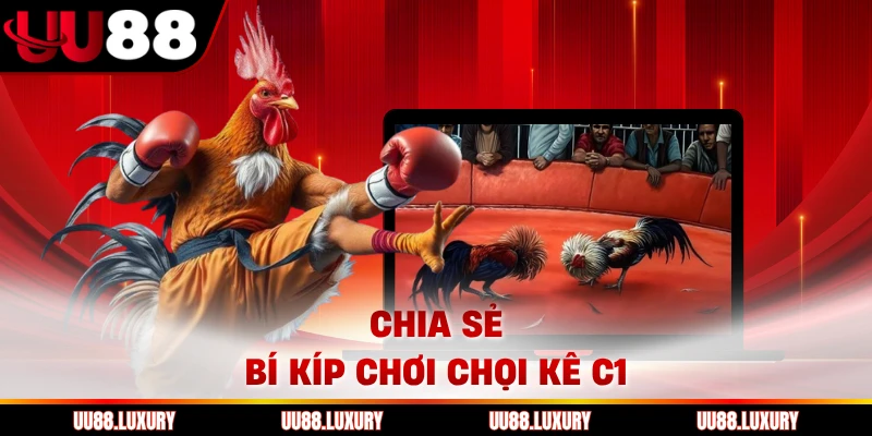 Chia sẻ bí kíp chơi chọi kê C1