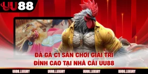Đá Gà C1 Sân Chơi Giải Trí Đỉnh Cao Tại Nhà Cái UU88