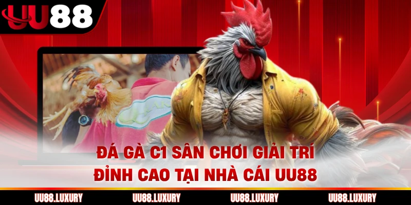 Đá Gà C1 Sân Chơi Giải Trí Đỉnh Cao Tại Nhà Cái UU88