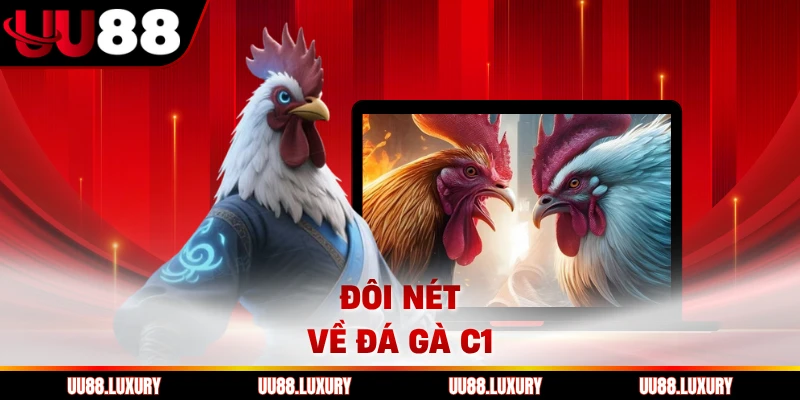 Đôi nét về đá gà C1
