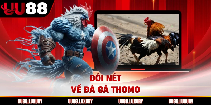 Đôi nét về đá gà Thomo