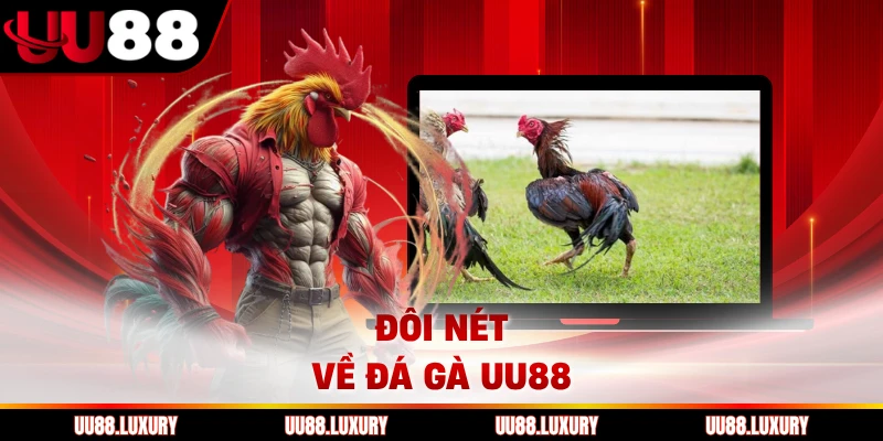 Đôi nét về đá gà UU88