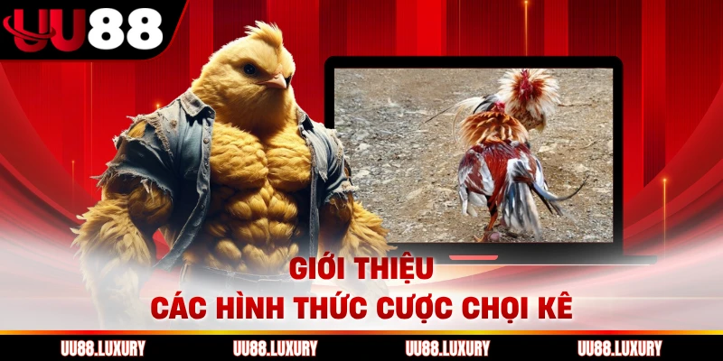 Giới thiệu các hình thức cược chọi kê