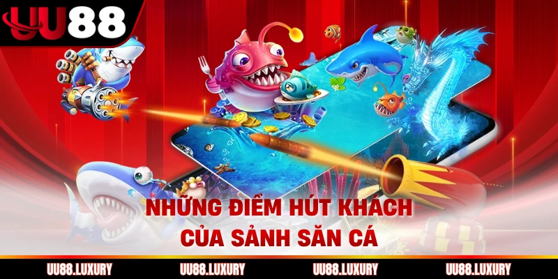Những điểm hút khách của sảnh săn cá
